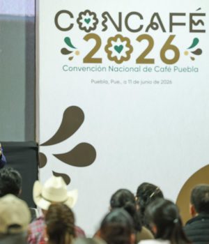 Planta de Café Bienestar en Puebla, proyecta el futuro de cafetaleros mexicanos