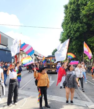 Colectivo APPS Derechos Humanos advierte voto de castigo a MORENA si no destituye a Betuky Camacho