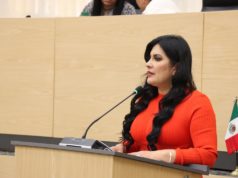 Propone Delfina Pozos sancionar la simulación de delitos