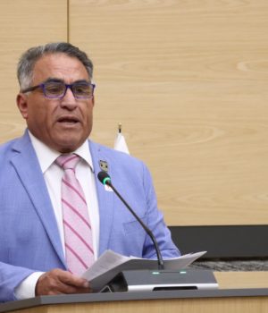 Impulsa diputado Elpidio Díaz exhorto para supervisar servicios de grúas y corralones, para evitar cobros excesivos