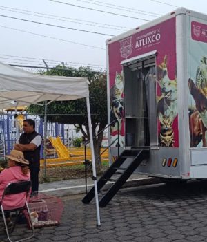 Atlixco impulsa bienestar animal; Ariadna Ayala promueve Jornada de Esterilización