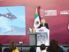 Puebla reduce 55% de superficie afectada por incendios forestales, reporta Medio Ambiente