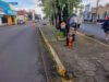 Interviene gobierno de Pepe Chedraui más de 16 millones de metros cuadrados de camellones