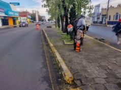 Interviene gobierno de Pepe Chedraui más de 16 millones de metros cuadrados de camellones