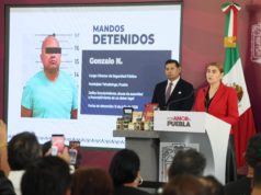 Con inteligencia y estrategia, gobierno estatal desmantela producción de estupefacientes en Sierra Norte