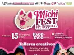 Fomenta Gobierno de la Ciudad tenencia responsable de gatos con el “Michi Fest”