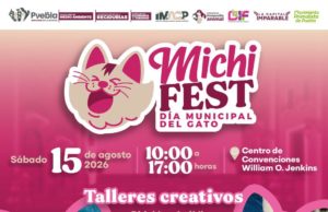 Fomenta Gobierno de la Ciudad tenencia responsable de gatos con el “Michi Fest”