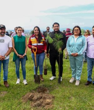 Impulsa Tonantzin Fernández acciones permanentes de reforestación en el Cerro Zapotecas