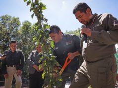 Omar Muñoz fortalece recuperación del río Atoyac con Tercera Jornada de Reforestación