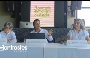 Movimiento Animalista de Puebla advierte posibles retrocesos en nueva ley de protección animal