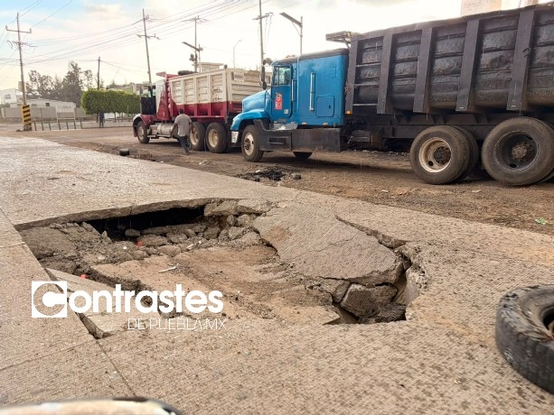 Baches Amozoc