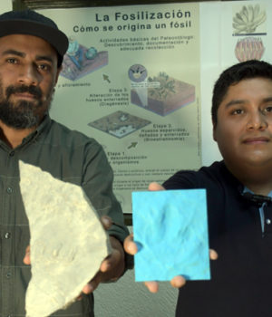 Investigadores BUAP registran nuevas huellas de dinosaurio en Puebla