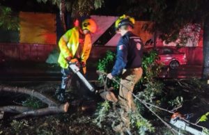 Mantiene gobierno de Pepe Chedraui acciones preventivas por lluvias y atiende reportes ciudadanos