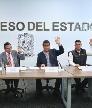 Aprueba Comisión del Congreso integración de Concejos Municipales en Acatlán, Esperanza y Tepeyahualco