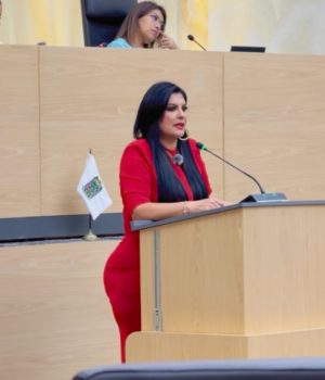 Delfina Pozos presenta queja por presuntas irregularidades en procedimientos legislativos sobre Acatlán, Esperanza y Tepeyahualco