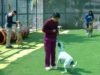 Un total de 25 perros coterapeutas brindan apoyo emocional a estudiantes de la BUAP
