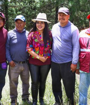 Con el respaldo del Gobierno del Estado, Tonantzin Fernández encabeza jornada de reforestación en el Cerro Zapotecas