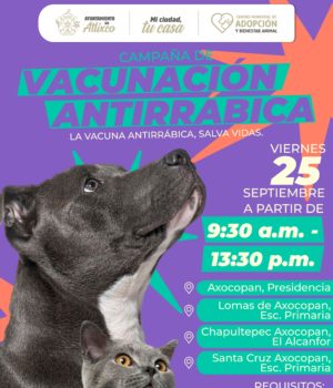Vacunarlos es amarlos, Ariadna Ayala impulsa bienestar animal con jornada de vacunación
