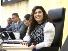 Promueve diputada Xel Arianna Hernández iniciativas para fortalecer la protección de la niñez contra la violencia vicaria