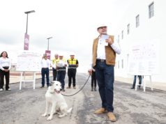 Gobierno Estatal alcanza 88 por ciento de avance en célula de Bienestar Animal