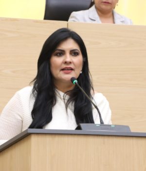 Diputada Delfina Pozos propone reforzar la supervisión de deshuesaderos y yonkes en Puebla