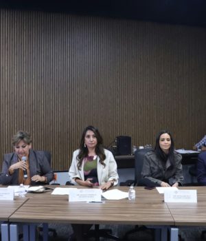 Avala Comisión del Congreso exhortos para fortalecer el turismo en los Pueblos Mágicos y promover el turismo rural