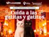 Refuerza Gobierno de la Ciudad medidas de protección animal por Día de Muertos