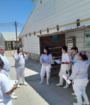 Altosano-Granjas Carroll 7 años con certificación por Bienestar Animal