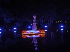 Exitoso comienzo del Bosque de las Almas y el Parque del Terror en Cuautlancingo