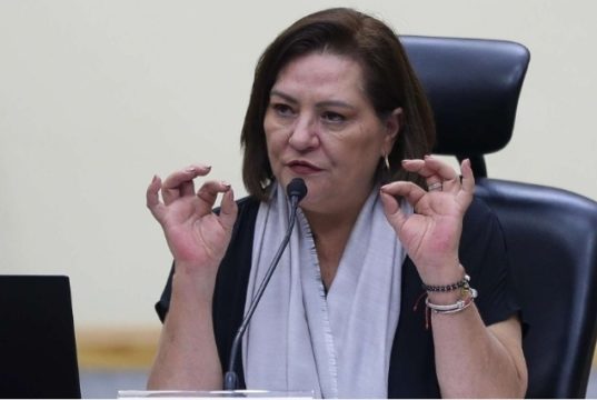 Renuncia Guadalupe Taddei este lunes a la presidencia del INE