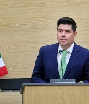 Partido Verde emitirá hasta diciembre convocatoria para alcaldías y diputaciones locales
